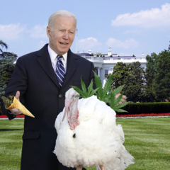 PRESIDENT BIDEN, Pardon Cannabis Prisoners, not Turkeyes!